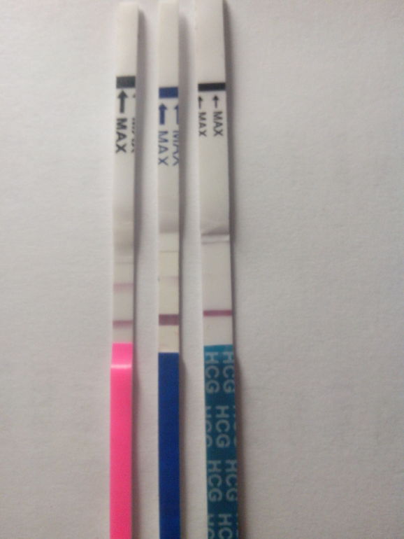 Тесты, надежды.............................