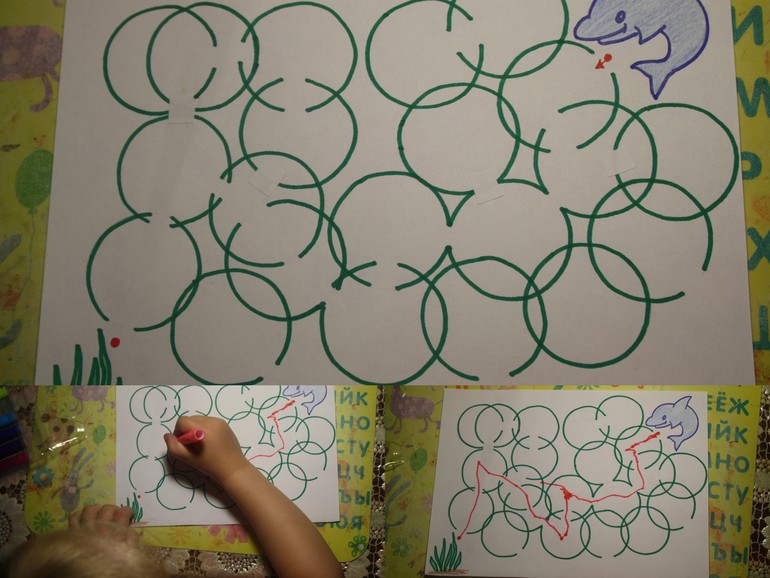 Обитатели морей и океанов. День 4.