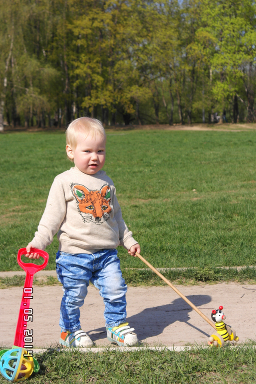 Сегодня взяла фотоаппарат