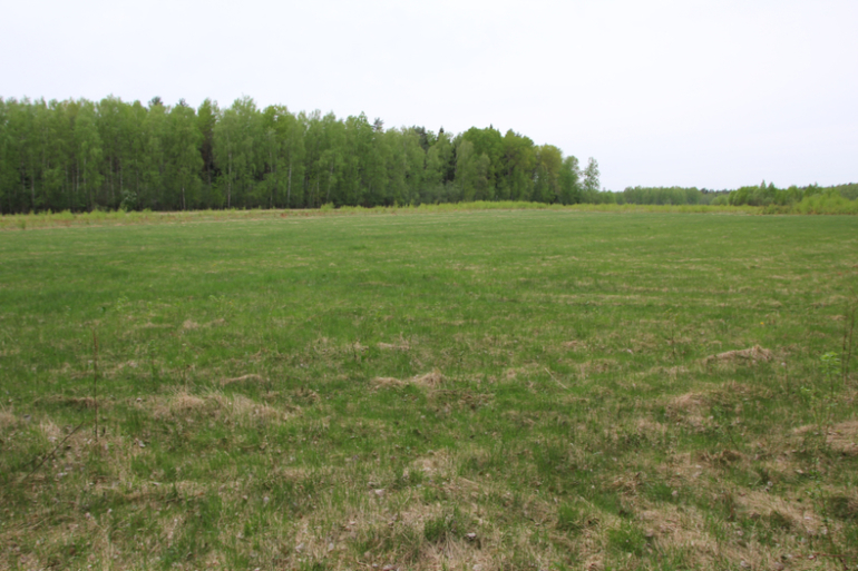 Продаю участок 5 Га