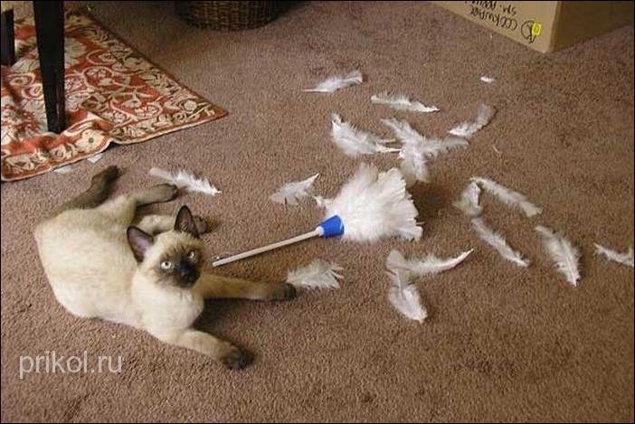 Приятно, когда вас ждут дома)