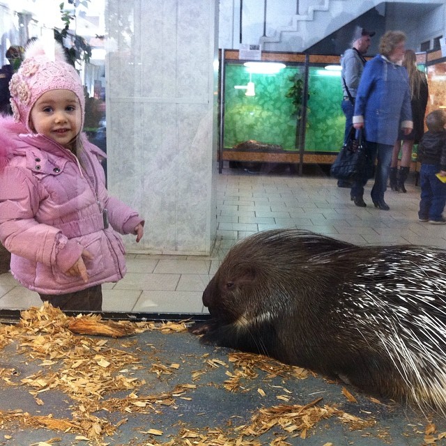 Саратов!!! К нам приехали ЭкзоЖивотные!!!