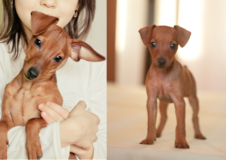 Хих, такая разница.. растет моя егоза