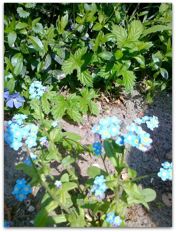 Весна глазами Любы.