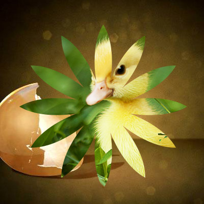 КЗ № 10. Использование быстрой и обтравочной масок