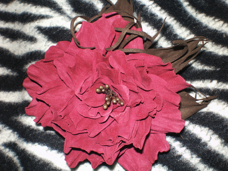 мои фомочки))