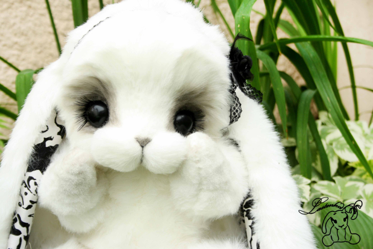 Моя самая большая зайка