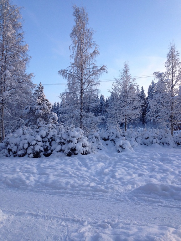 Прогулки