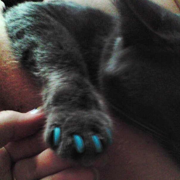 суббота 14,12,13.