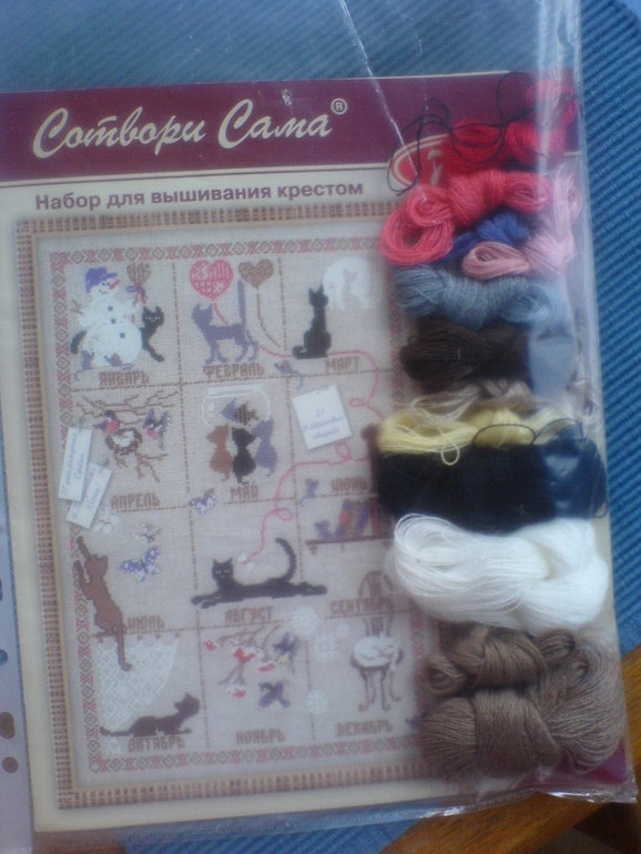 Калининградский хомячок готов переехать в новый дом