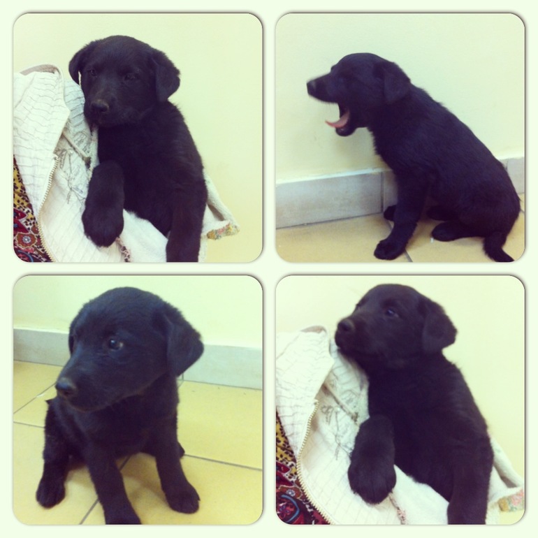 Девочки, заберите девочку)))))))))