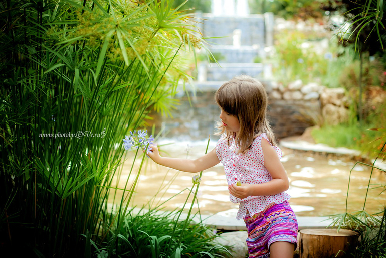 Виолетта. Летнее