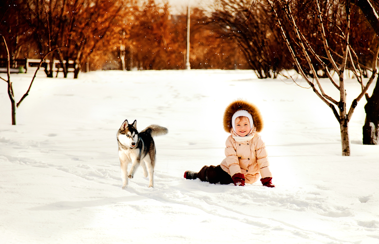 Фотопроект "Сказочный лес" 22 февраля
