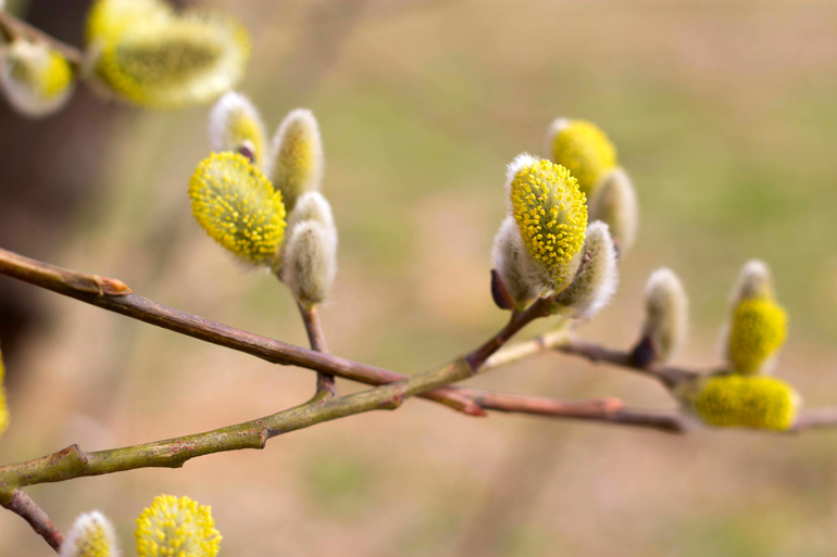 Весна пришла.Уррра