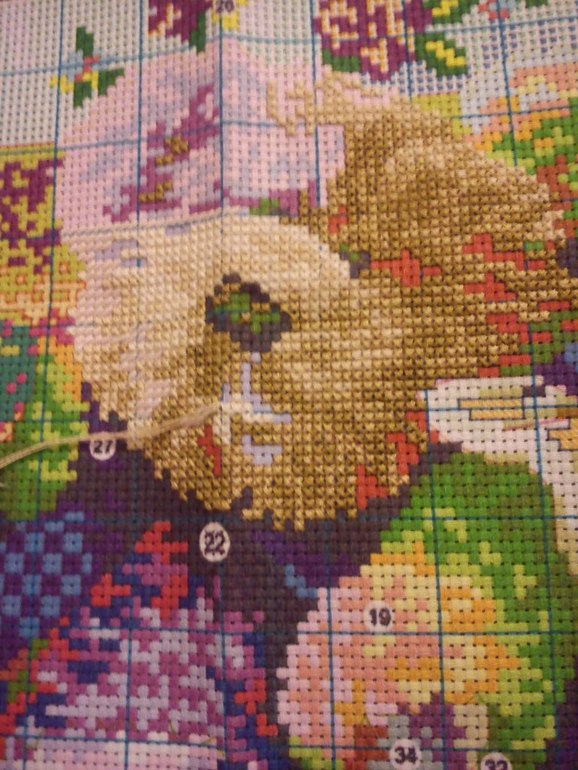 Мини отчет по китайским мишкам