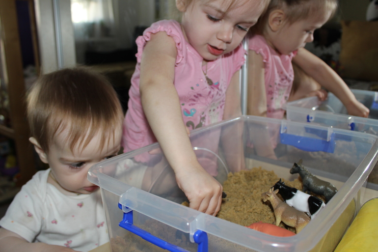 ТН "Домашние животные" 1 день. Вводный