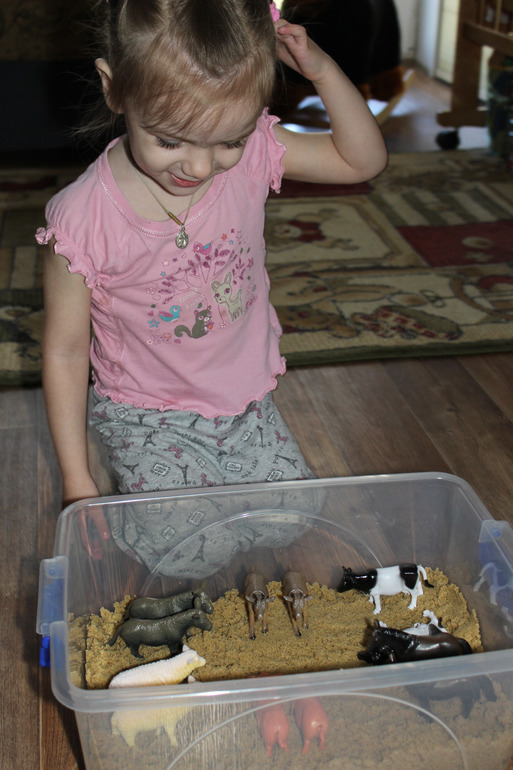 ТН "Домашние животные" 1 день. Вводный