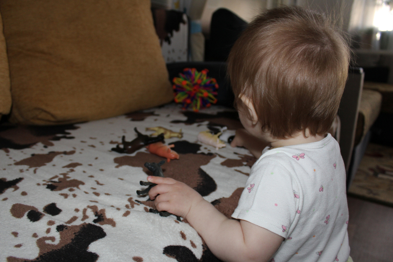 ТН "Домашние животные" 1 день. Вводный