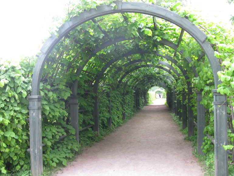 И еще немного Кусково.