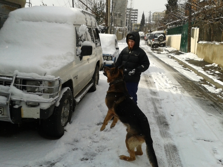к нам пришла зима!