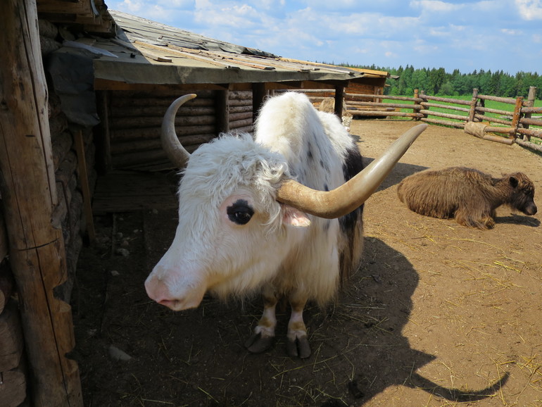 Выходные и не только часть 2