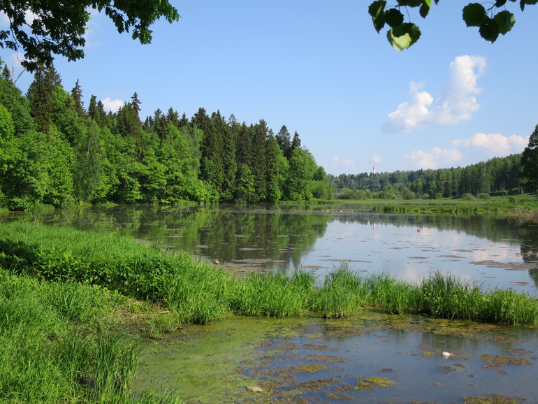 Выходные и не только часть 1
