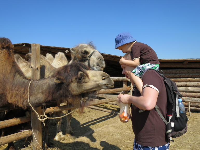 Выходные и не только часть 2