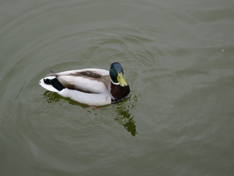 Выходные и не только часть 1