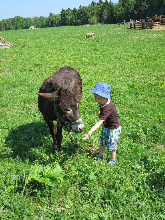 Выходные и не только часть 2