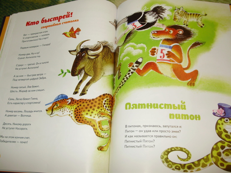 Зимние книги и другие новинки декабря