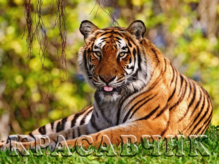 Контрольное задание № 12. "Имитируем объём и глубину"