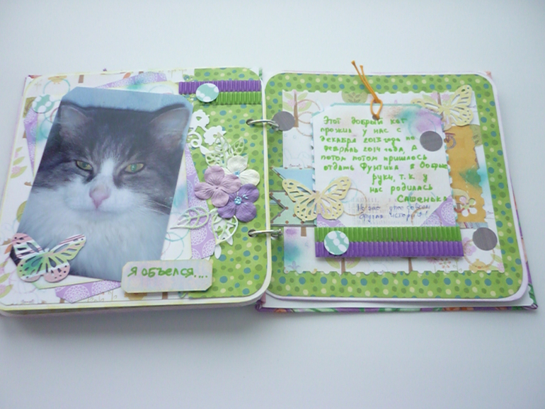 Мини альбом про нашего Фунтика