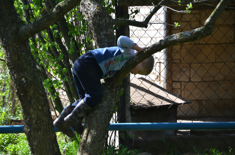 мы в деревне