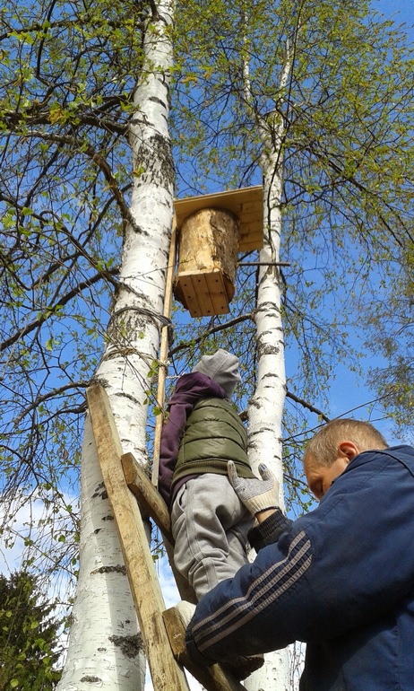 наш главный помощник