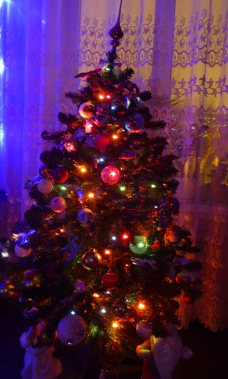 Наша елочка