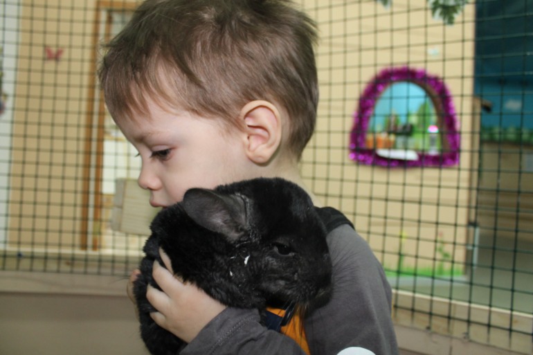 Домашний зоопарк)))