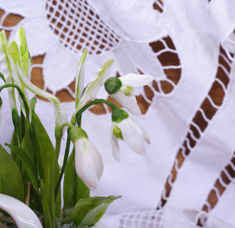 подснежники...