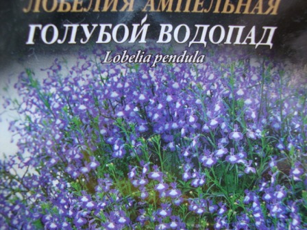 Про цветы и прочие растения