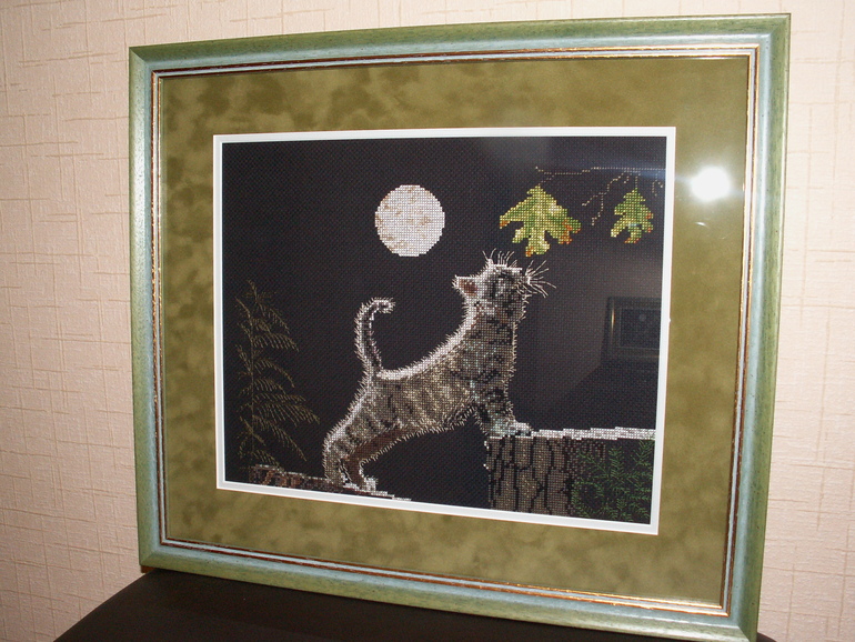 Котенок и Луна