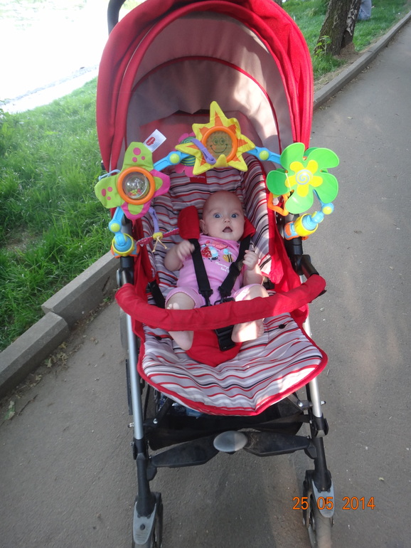 Гуляли сегодня в прогулке