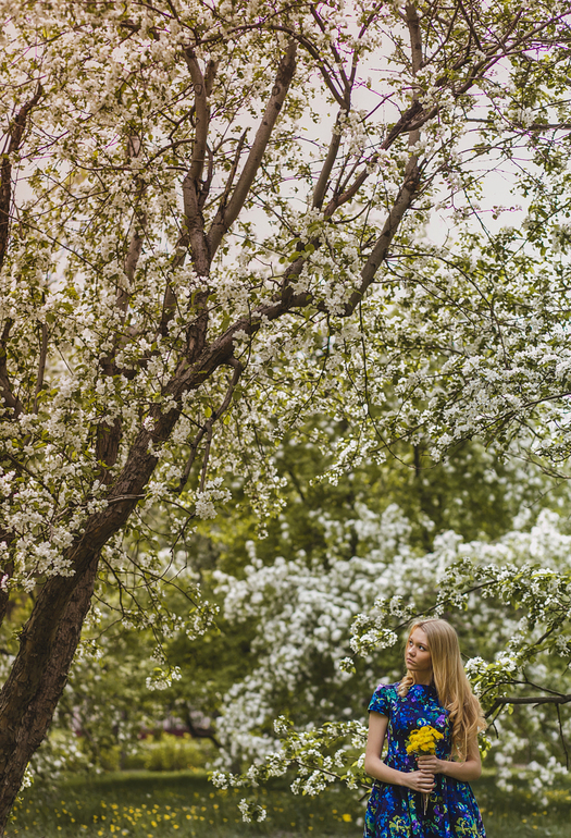 Apple Trees. Кристина
