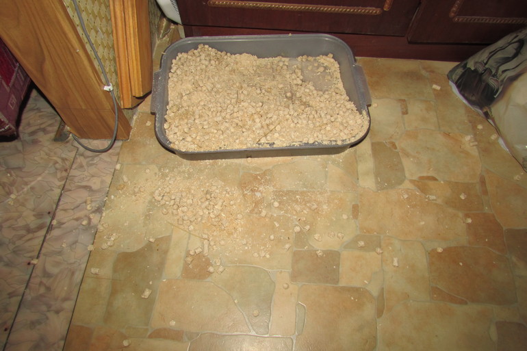 Один день из жизни Флайледи