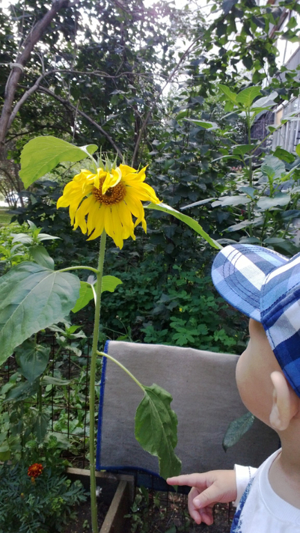 Давайте и мы с малышом сегодня порадуемся кусочку солнца!