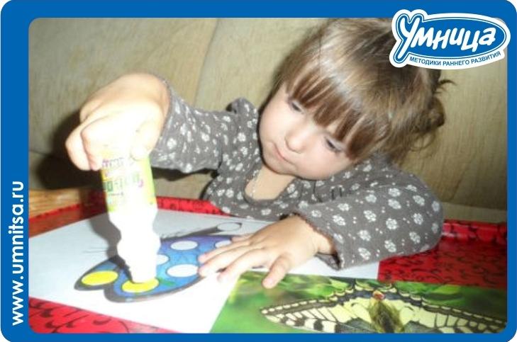 Бабочки-красавицы