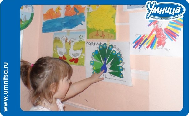 Утки, гуси, синицы, снегири – что между ними общего?
