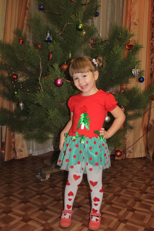 Новогодние праздники 2014