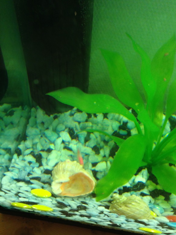 Семерых унесло течением....