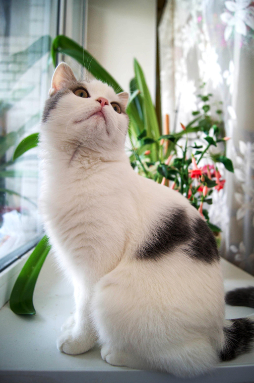 Контрольное задание № 7. Корректируем фотографию при помощи кривых