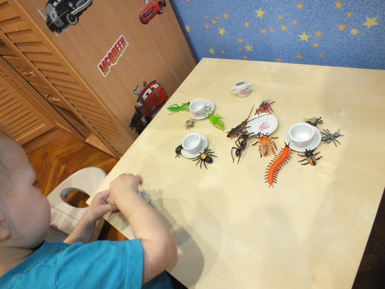 ТЗ "Муха-цокотуха"