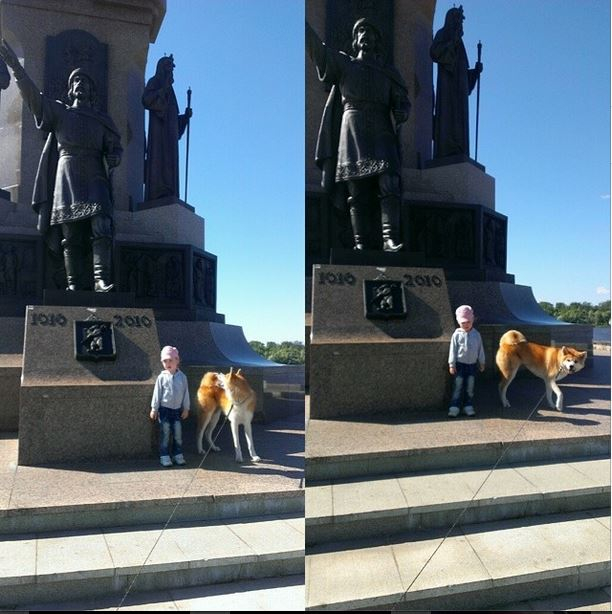 Воспитание ребенка по отношению к животным